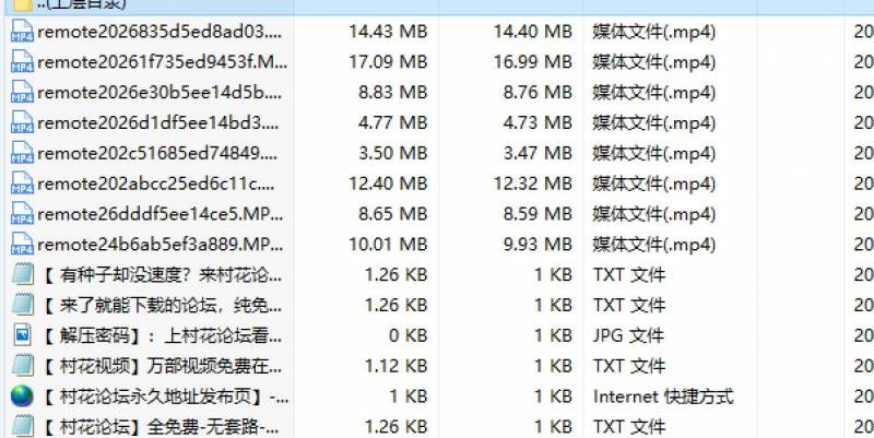 全网首发自购主播小奶猫辛巴教主，敌总福利视频[8V 80MB][百度云永链]